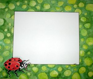 ladybug